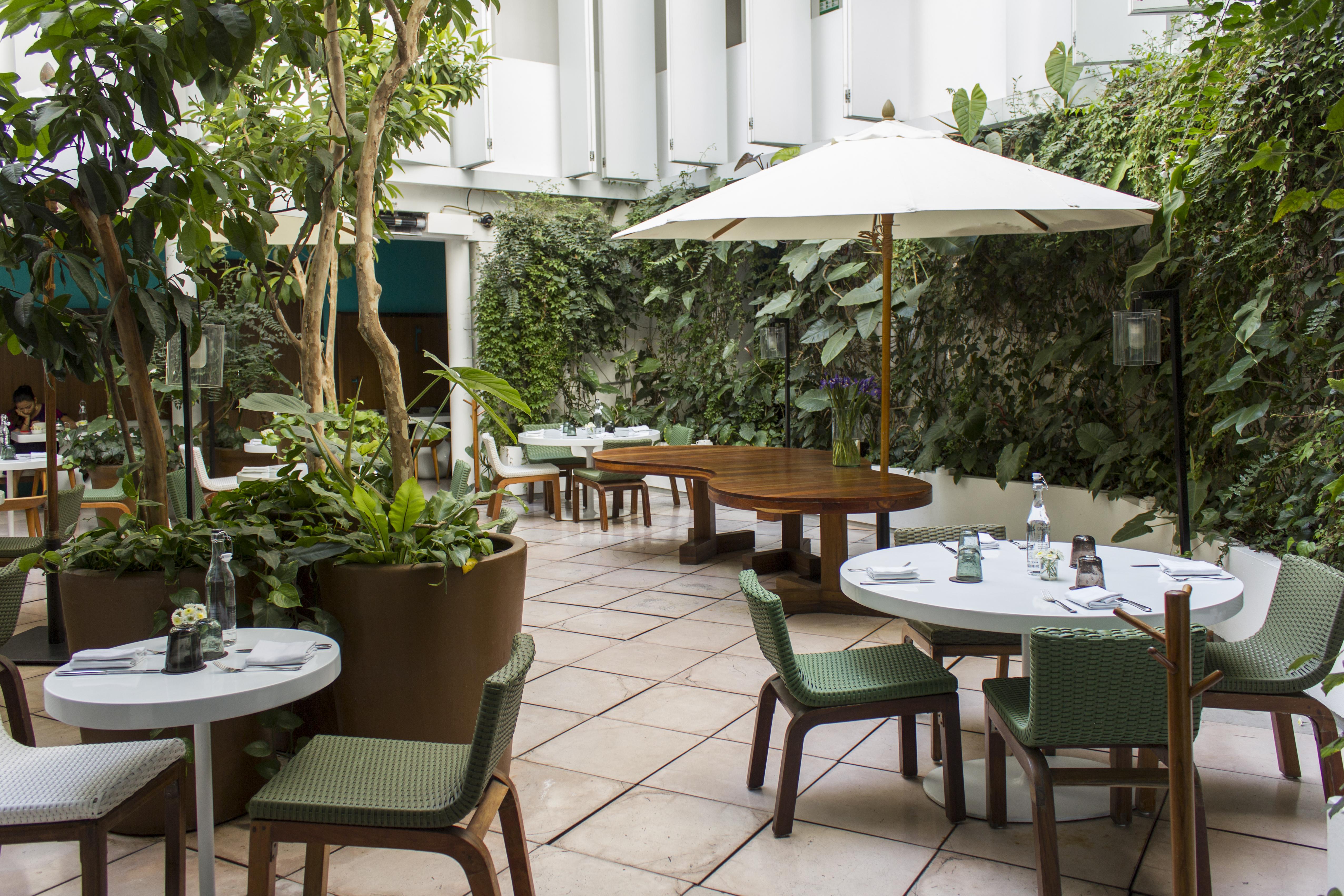 Condesa Df, Mexico City, A Member Of Design Hotels Exterior photo